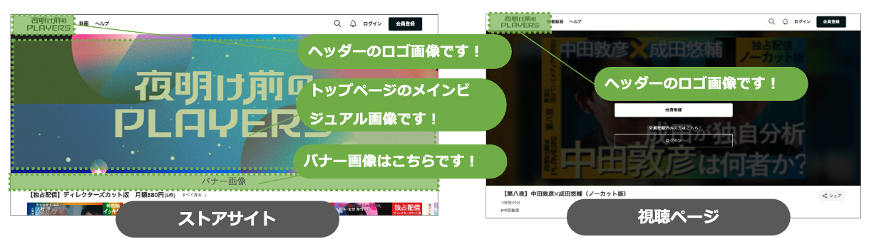 pvs_gazou_R01.png