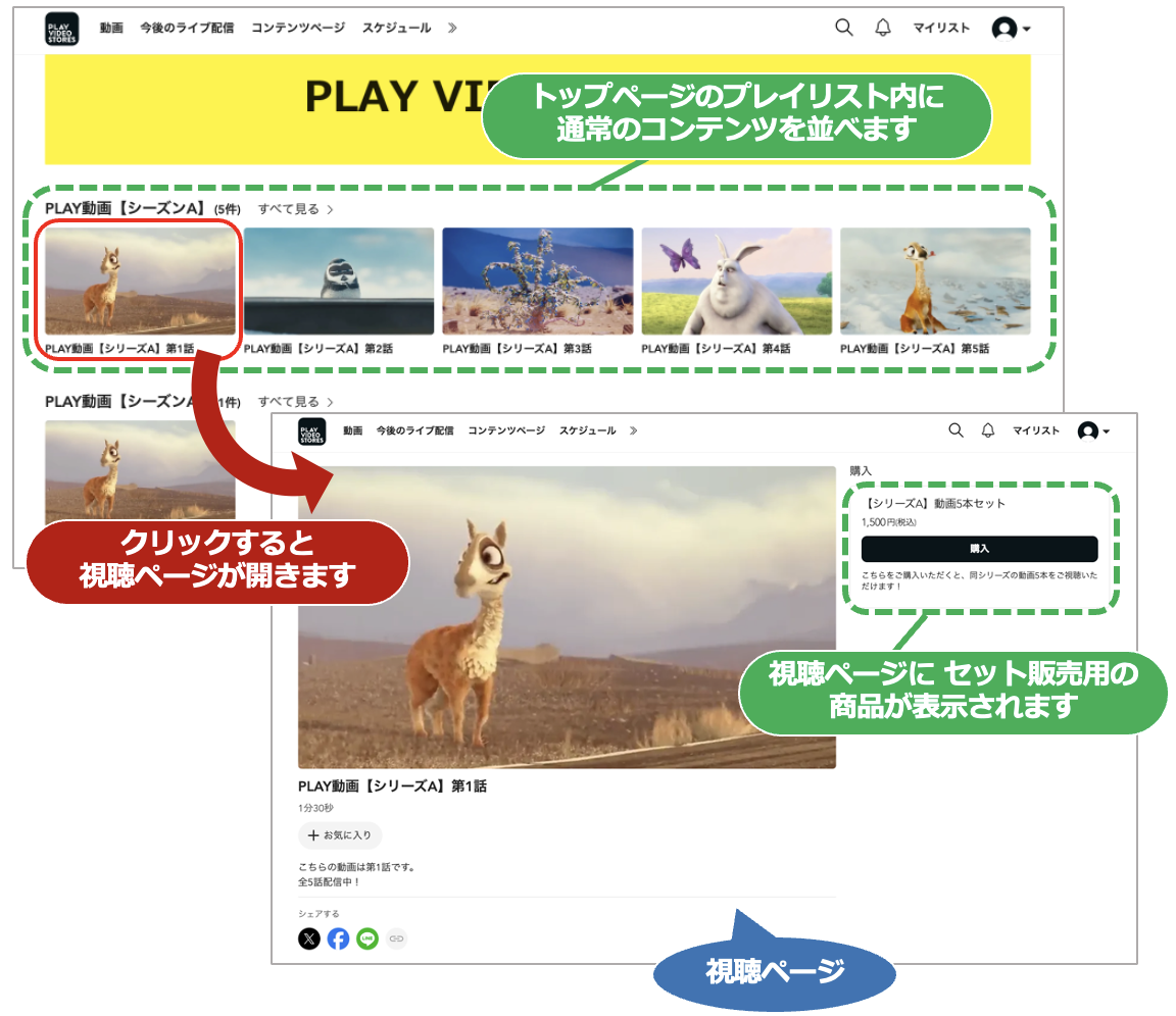 スクリーンショット 2024-05-02 10.34.40.png